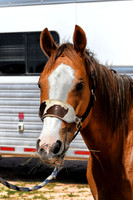 Rafter M Barrel Race - Post, Tx 05262018
