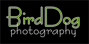 Birddog Photography